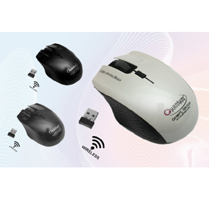 Wireless Mouse Model 253W